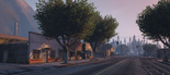 Nitro Bloom sunflower shop