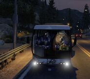 Boris on the bus
