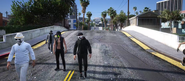 Hydra walking on Prosperity Street in the Vespucci Canals May 29 2022