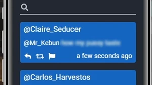 CLAIRE TWEET blurred