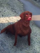 Reggie (Peter Percocet)