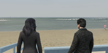 Zwan beach date