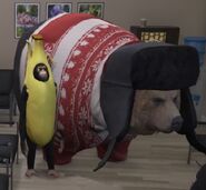 Mighty Joe and Boris - Name a cooler duo - Katya and Boris are a cooler duo!