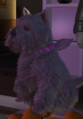 𓆩Charles Gets His Wings𓆪