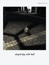 Charles' New Ball Polaroid (2023-07-10)
