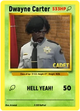 NoPixel Card