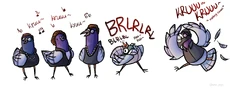 Italian pigeons created by smol