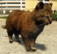 RustyRUST Cat Owned by Raymond Romanov