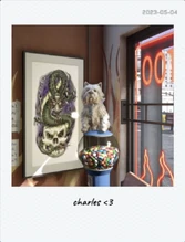 <3 Polaroid (2023-05-04)