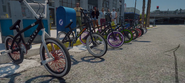 Bikes on display