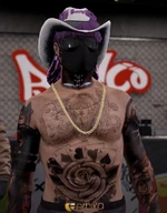 Ace in his "cowboy" fit Nov 21, 2022