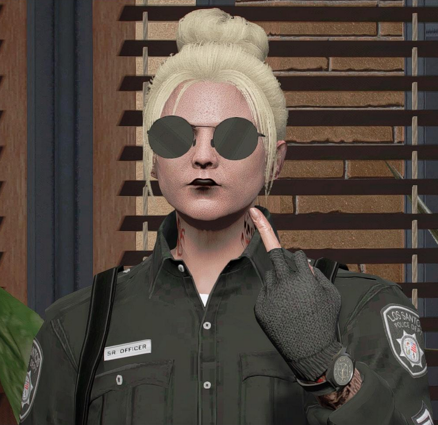 gta sa police skin mods