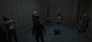 Angels Hitting the Vault