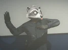Racoon Reggie