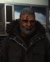 Nico Romanov