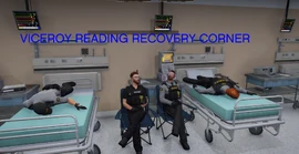 Viceroy Reading Recovery Corner with Bundy and Cannoli November 28th, 2021