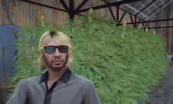 Chad Brodie NoPixel Wiki Fandom