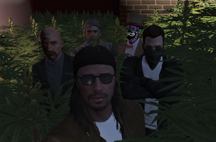 Siz, Huck, Julio, Fred and Jesus at the weed mansion