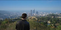 Vinewood View