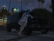 Semlina and Bootie (Her Van)