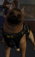 Peanut Sergeant