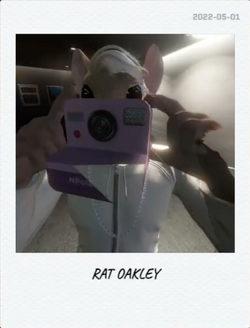 Oakley Stallion | NoPixel community | Fandom