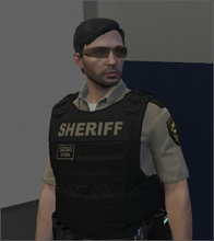 SDSO Vest