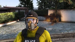 The Mailbox Arsonist