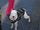 Zero the K-9/3.0