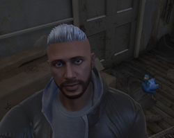 RandyDodo.png