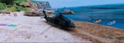 Pigeon Helicopter