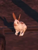 Toffee (Theo Thatcher)