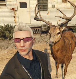 JoeJemini