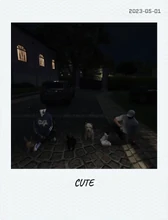 Alex, Charles, Ash, and Bunny(s) Polaroid (2023-05-01)