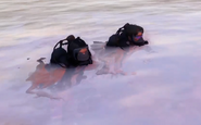 Scuba Diving date March 25th, 2025