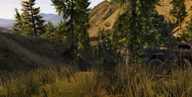 Bundy and Cleo Shaw in the woods June 6th, 2022