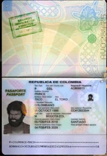 "Taco" Prince El Toro (The Bull) Sales Associate