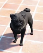 Kosci † (Rue Minmi)