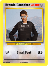 NoPixel Card