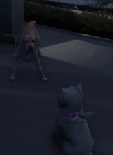 Charles and Likkle Yute