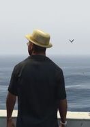 Swingle's last moments