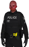 Lenny Hawk Officer 411