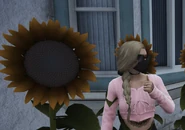 Mia with her sunflower garden