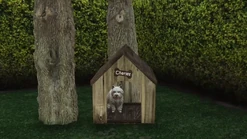 Charles in his doghouse