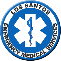 EMS Logo