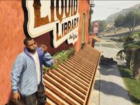 L chilling on the Liquid Library roof