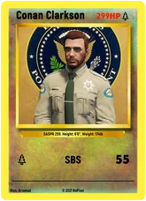 NoPixel Card