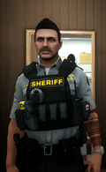 BCSO Short + Vest