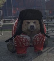 Boris looking cute at the jail