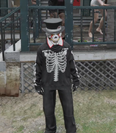 Skeleton